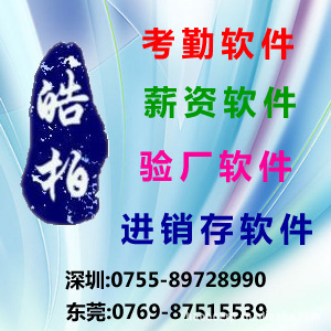 商务服务　做你所想专业企业管理软件开发　